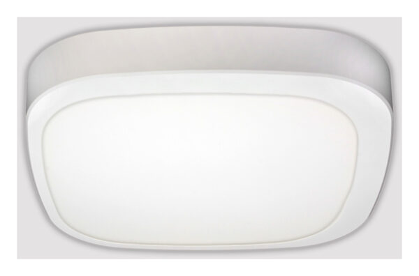 FP3NEA1SVR6UPTTV01Q1O5A5CC