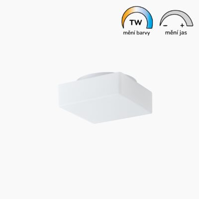 Plnospektrální LED svítidlo LORA 2 skleněné 260 mm 15W