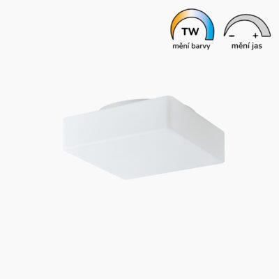 Plnospektrální LED svítidlo LORA 6 skleněné 380 mm 27W