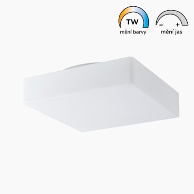 Plnospektrální LED svítidlo LORA 7 skleněné 440 mm 34W